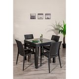 Sandalie Home 4 Kişilik Rattan Camlı Lüx Bahçe Masa Takımı Antrasit