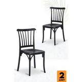 Sandalie Home Violet 2 Adet Bahçe Balkon Sandalye Siyah Klasik Tasarım Dayanıklı Plastik Malzeme