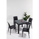 Sandalie Rattan Camlı 80x80 Bahçe&Balkon&Teras Masa Seti - Antrasit