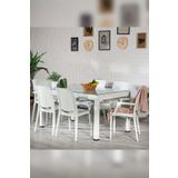 Sandalie Rattan Large Lüx Camlı Beyaz Masa Takımı Bahçe&Balkon 1 Camlı Masa + 6 Sandalye