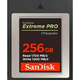 SanDisk Extreme PRO CFexpress 256GB 1700MB/s Type B XQD 4K Hafıza Kartı