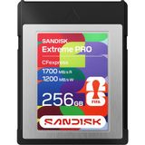 SanDisk FIFA World Cup 2026 SDCFE-256G-GF4NN CFexpress Type-B 256 GB Hafıza Kartı