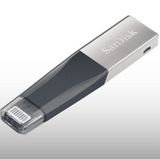 Sandisk SDIX40N-256G-GN6NE Flash Bellek