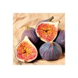 ŞANGULOĞLU KARADENİZ PATLICAN İNCİR FİDANI TÜPLÜ 30-60 CM
