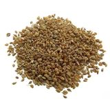 Sanita 1 kg Kereviz Tohumu