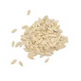 Sanita 1 kg Salatalık Tohumu