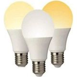 ŞANLED 50W KRİSTAL Tasarruflu E27 Beyaz Işık Torch Led Ampul-1-2-4-6-8-10 Adettir - 8 Adet