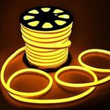 ŞANLED Neon Esnek Hortum Şerit LED Amber Rengi + 220V Fiş 2,3,4,5,10,15,20,25,50,100 Metre - 1 m