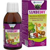 Sanmark Sambujoy Sambucus Nigra Ekstresi, Multivitamin ve Multimineral Çilek Aromalı 150 ml