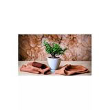 Şans Getiren Bonsai Ağacı Afra Para Bitkisi