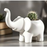 Şans Getiren Fil Figürlü Dekoratif Saksı ve Vazo - Bereket Sembolü Modern Sukulent Çiçekliği, Estetik Fil Formunda Masaüstü Objesi, Küçük Vazo Cute Elephant for Flowers – Decorative Pot & Vase