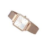 Santa Barbara Polo & Racquet Club SB.1.10023.3 Kadın Kol Saati