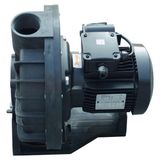 Santem Visco 1 HP 0.74 Kw Monofaze Ön Filtresiz Jakuzi Serisi