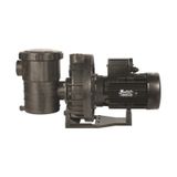 Santem Vısco 3 Hp 2.2 Kw Monofaze Havuz Pompası