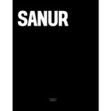 Sanur: The Coffee Table Book