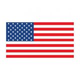 Saray Amerika Bayrağı 50x75