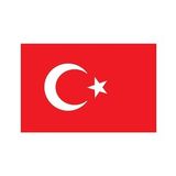 Saray Türk Bayrağı 200x300