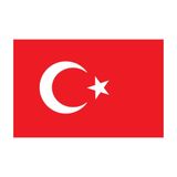 Saray Türk Bayrağı 20x30