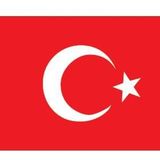 Saray Türk Bayrağı 30x45