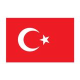 Saray Türk Bayrağı 60x90