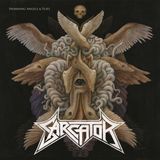 SarcatoSarcator Heavy Metal Plak - Swarmıng Angels & Flıes Sony Music Yayınlır - Swarmıng Angels & Flıes - Plak