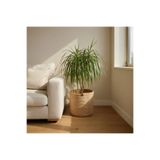 SARDA EL EMEĞİ DEKORATİF 25cm*25cm HASIR RENGİ SAKSI KILIFI DEKORATİF DOĞAL VE ŞIK