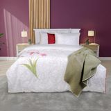 Sarev Opal Gri Çift Kişilik %100 Pamuk Nevresim Takımı - Renkli - 200 x 220 cm