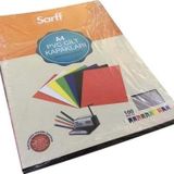 Sarff Cilt Kapagi Plastik Opak A4 160 Micron Seffaf Buzlu Cilt Kapagi (100 Lu Paket)