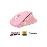 Sarftech Kablosuz Ergonomik Zarif Tasarım Rgb Dual Moude 2.4Ghz+Bt5.0 Ofis Ve Gaming Oyuncu Faresi