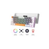 Sarftech Ziyoulang T60 Mini Rgb 62 Tuş Mekanik Red Switch Gaming Oyuncu Klavyesi