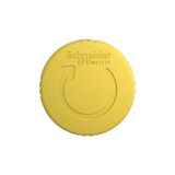 Sarı Acil Stop Buton Kafalığı Schneider Electric ZB4BS55