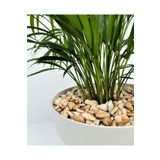 Sarı Çizgili Dolomit 10 Kg 1-2 Cm Sarı Dolomit Taş Dere Taşı Çakıl Taşı Bahçe Taşı Akvaryum Taşı