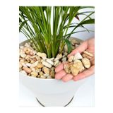 Sarı Çizgili Dolomit 2 Kg 1-2 Cm Sarı Dolomit Taş Dere Taşı Çakıl Taşı Bahçe Taşı Akvaryum Taşı