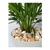 Sarı Çizgili Dolomit 20 Kg 2-4 Cm Sarı Dolomit Taş Dere Taşı Çakıl Taşı Bahçe Taşı Akvaryum Taşı