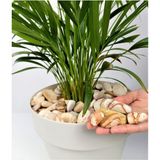 Sarı Çizgili Dolomit 5 Kg, 2-4 Cm, Bahçe, Dere, Akvaryum, Çakıl Taşı - Seçenek 1 - Ahşap