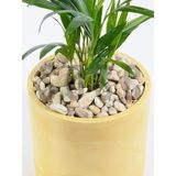 Sarı Çizgili Rainbow Dolomit Çakıl Taşı, 1-3 Cm, 1 Kg, Dekoratif Bahçe Peyzaj Saksı Akvaryum - Çok Renkli