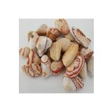 Sarı Çizgili Taş 9 Kg 2-4 Cm Dolomit Taş Dere Taşı Çakıl Taşı Bahçe Süs Taşı Akvaryum Teraryum Taşı Sarı