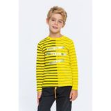 Sarı Erkek Çocuk Sweatshirt