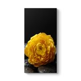 Sarı Gül ve Taşlar Tablosu 50 x 100