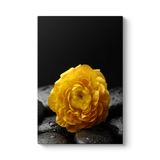 Sarı Gül ve Taşlar Tablosu 70 x 100