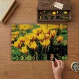 Sarı Kır Çiçekleri Tasarımı 240 Parça Ahşap Puzzle Ahşap Kutuda MP09731