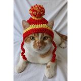 Sarı Kırmızı Taraftar Bere Örgü Kedi Köpek Şapkası Evcil Hayvan Şapkası Pet Aksesuarları