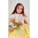 Sarı Kız Bebek Elbisesi,Doğum günü elbisesi, fotoğraf çekim elbisesi,0-12 Yaşa Uygun