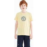Sarı Nakış İşleme Detaylı O Yaka Standart Kalıp Erkek Çocuk T-Shirt - 11115