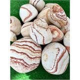 Sarı Renk Dolomit Taş 5 kg 6-10 cm Sarı Çizgili Bahçe Taşı Dekoratif Taş Peyzaj Taşı Saks�