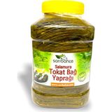 Sarıbahçe Yeni Sezon Tokat Yaprağı Ev Tipi 5 kg