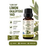 sarıbelen Limon Okaliptüsü Yağı 10 ml | Eucalyptus citriodora | Oil of lemon eucalyptus | Okaliptus Limon Yağı