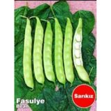 Sarıkız Oturak Fasulye Tohumu 100+ Tohum N118059