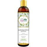 Sarımsak Özlü Şampuan 400 ml | Saç Dökülmesine Karşı Etkili Bakım | Sülfür ve Vitamin De - 1 Adet