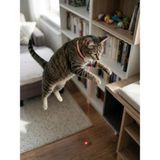 Şarj Edilebilir Otomatik Kedi Lazeri - Boyun Askılı Interaktif Kedi Oyuncağı Eğitici & Egzersiz - Çok Renkli